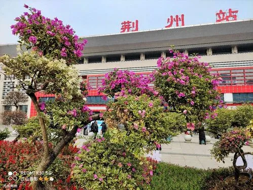 義烏市到荊州物流專線-工廠貨物運(yùn)輸專線「高效快捷」